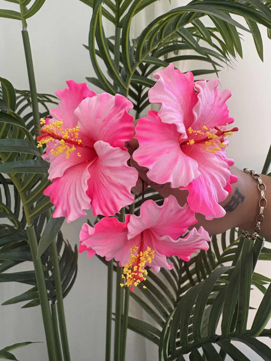 Hibiscus sei (small)